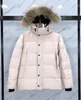 2024 Uomo Inverno Fourrure Giù Parka Homme Jassen Chaquetas Capispalla Pelliccia di lupo con cappuccio Manteau Wyndham Giacca Cappotto Hiver