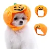 Kat kostuums Halloween huisdier pompoen hoed hond aankleden hoofdtooi kleine cosplay kostuum grappige feestmuts accessoires