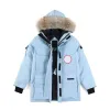 Doudounes hommes Parka hiver tissu imperméable hommes Fourrure de loup Wyndham veste à capuche Fourrure vêtements d'extérieur Fourrure de raton laveur manteau chaud