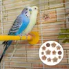 Otros suministros para pájaros 12 PCS Parrot Masticar juguetes de frutas Accesorios de forraje Jaula Loros Bite Treats