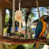 Autres fournitures d'oiseaux Perroquet suspendu jouet en bois calopsitte à mâcher mordant