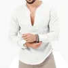Men's T Shirts Linen Long Sleeve T-shirt Solid European And American Large Deep V-Neck Top