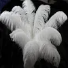 30-35 cm bellissime piume di struzzo per gioielli fai da te artigianali che realizzano accessori per decorazioni per feste di nozze decorazioni per matrimoni G10932081