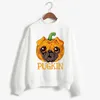 Herrtröjor pumpa mops roliga streetwears kawaii hundar tryck tröja y2k topp pullover 2023 halloween kläder för kvinnor lös träning