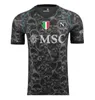 23 24 25 NAPOLI soccer jerseys Maglia Naples 2023 ZIELINSKI ANGUISSA OLIVERA KVARATSKHELIA FOOTBALL SHIRT OSIMHEN LOZANO SSC Napoli Maillots de foot goalkeeper