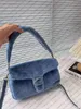 tote handbag crossbodyhobo shoulder women wallets Wool skin sherpa Fluffy wool Corduroy Purple cream Cross body designer mini tabby pillow 18 cm 26cm CC444 CC445