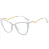 Lunettes de soleil imprimé léopard œil de chat lunettes d'ordinateur noir femmes lunettes cadre Anti rayonnement de lumière bleue