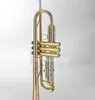 margewate 새로운 도착 BB 트럼펫 고품질 인 구리 B 마우스 피스와 케이스를 가진 플랫 금 래커 트럼펫