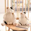 Pluche poppen Decompressiespeelgoed Aankomst 35 cm Japanse Kawaii Zacht kattenspeelgoed Knuffeldier Kindercadeau Mooie dikke katten Kussen Woondecoratie 231007