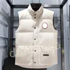 Giacche stile pieno di oche canadesi da donna Designer Felpa con cappuccio Giacca di marca da uomo e da donna Autunno e inverno Sport all'aria aperta Gilet casual Cappotto di moda Abbigliamento di alta qualità