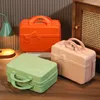 Storage Bags 14 Inch Bow Tie Suitcase Female Portable Makeup Case Cute Mini Large Capacity Travel