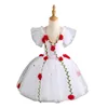 Stage Wear Enfants Ballet Tutu Robe Fleur Femmes Danse Performance Costumes Swan Party Princesse Filles