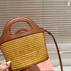 Modekorgväska som bär Cross Body Bag Womens Fashion Mini Woven Handbag