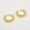 Hoop Earrings High Quality Geometric Minimalist For Women High-end Fashion 925 Silver White Zircon Hedgehogs Earings Jewelry INS