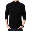 Pulls pour hommes Hommes 2023 Hommes Pull à col roulé Hiver Chaud Cachemire Pull Laine Mâle Ordinateur Pulls Tricotés