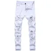 Jeans skinny pour hommes, blanc, noir, trous en détresse, pantalon en Denim pleine longueur, pantalon de Style de rue, Whole280I