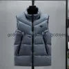 Mens Winter Coats Down Tank Top Designer Brand Clothing Women's Coat Men's Park Coat Unisex Coat Contrast Color Casual Street Clothing