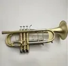 Yüksek kaliteli trompet C - B Tune Pirinç Kaplama Profesyonel Müzik Enstrüman Vaka Ücretsiz Nakliye