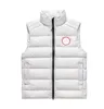 Top quality Unisex style Down vest Luxury Designer Unisex Tank Top Embroidered Emblem Warm Down canadian goose vest