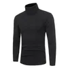 Pulls pour hommes Pull tricoté à col roulé Slim Ajusté à manches complètes 2023 Hommes Vêtements Automne Pull Sweter Uomo Wear Pull Homme Hombre ES126