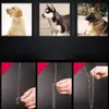 Goudzilveren roestvrijstalen ketting met zwart lederen hondenriem Cool Training Pet Supplies 1020215y