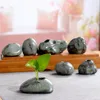 Wazony wielokształtne ceramiczne zen mini kamienne ozdoby DIY HOME Hydroponiczne zielone rośliny małe wazon dekoracja salonu