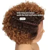 Perruques synthétiques s trueme courte curly humain pixie pixie bob transparent dentelle transparente pour les femmes colorées brésilienes profondes 231007