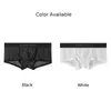 Sous-vêtements sexy pour hommes, boxers en maille transparente, slip avec poche bombée, sous-vêtement bikini, super doux, léger, respirant