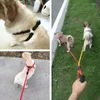 Obroże dla psów 4 rozmiar nylonowego wiązki wiązki obrotowej Zestaw smyczy Regulowany trening chodzenia szczeniaka