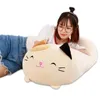 Poupées en peluche jouet de décompression 2028 cm animaux doux dessin animé chat oreillers coussin joli lapin chien en peluche Totoro cochon grenouille cadeau d'anniversaire 231007