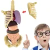 Objets décoratifs Figurines 3d modèle de torse de corps humain pour enfant anatomie squelette Construction bricolage assemblage d'orgue 231009