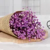 Flores decorativas atacado varejo gypsophila natural seco preservado buquê de flores mariage casa casamento decoração do ano natal