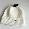 2024 QC Yüksek Kaliteli Çift Açık Hava Spor Tarzı Tasarımcısı Beanie Hat Kadınlar Moda Sonbahar ve Kış Sıcak NK Mektup Nakış 8 Renkler Casquette