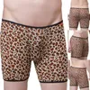 Cuecas sexy homens malha longa perna boxer briefs peni bulge bolsa roupa interior shorts troncos leopardo impressão estiramento boxershorts