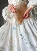 Sıradan Elbiseler 2023 Fransız Tarzı Çiçek Baskı V Yastık Zarif Gece Elbise Kadın A-Line Masal Uzun Kollu Yüksek Bel Dantel Partisi