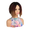 Synthetisch haar Spring Twist Haakhaar Vlecht Dreadlocks 100g1B# 1BT30# 1BT27# 1BTPINKTBLUE2