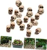 Other Event Party Supplies 20pcsSet Skeleton Head Decoration Creative Resin Ghost Micro Landscape Garden Potted Plant 231009