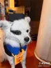 Trajes de gato 2023 Pet Halloween Chinês Zombie Decoração Dog Collar Drool Toalha Grande Médio Pequeno Dress Up Suprimentos Acessórios Chapéu