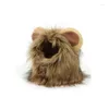 Costumi per gatti Berretto fantasia gattino leone parrucca costume vestiti cosplay con accessori per criniera cappello da festa simpatici animali domestici cani orecchie divertenti