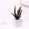 Decorative Flowers Simulated Succulent Plant Crassula Rogersii Ornamental Bonsai Color Artificial Potted Flower