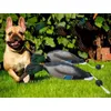 Hundespielzeug kaut, ahmt tote Enten-Stoßstangenspielzeug zum Trainieren von Welpen oder Jagdhunden nach und bringt Stockenten- und Wasservögeln das Apportieren von Entenpuppen bei. 231009