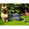 Dog Toys Chews Mimics Dead Duck Bumper Toy for Training Puppies eller Hunting Dogs Teaches Mallard Waterfowl Game Retrieval Duck Dummy 231009