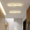 Tavan Işıkları Koridor Işık Fikstürleri Dekoratif Mutfak Endüstriyel Lamba Kapak Tonları