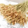 Dekorativa blommor torkade blommor Grass Bouquet Boho Home Decor Natural Fluffy Pampas Teble Floral Arrangement Country Wedding