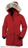 Cappotto in piumino d'oca Giacca invernale da donna Collo in vera pelliccia di lupo Con cappuccio Cappotti caldi e antivento per esterni con cappuccio rimovibile Parka da donna Xs-3xlhe1r