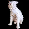 Costumes de chat Conis vêtements sans poils pyjama de Style japonais maison Wea bébé coton chaton tenues vêtements pour animaux de compagnie pour Sphynx Devon Rex