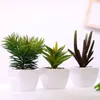 Decorative Flowers Simulated Succulent Plant Crassula Rogersii Ornamental Bonsai Color Artificial Potted Flower