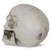 장식용 물체 인형 인형 홈 장식 led 두개골 동상 재미있는 빛나는 수지 공예실 장식 액세서리 할로윈 조각 231009