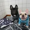 Vêtements pour chiens Sweat à capuche par temps froid à la mode chaud confortable sweat-shirt pour animaux de compagnie pour l'hiver fournitures premium