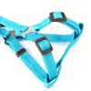 Collari per cani Guinzaglio per collare in nylon di 4 dimensioni Set guinzaglio regolabile per addestramento a passeggio per cuccioli di piccola taglia